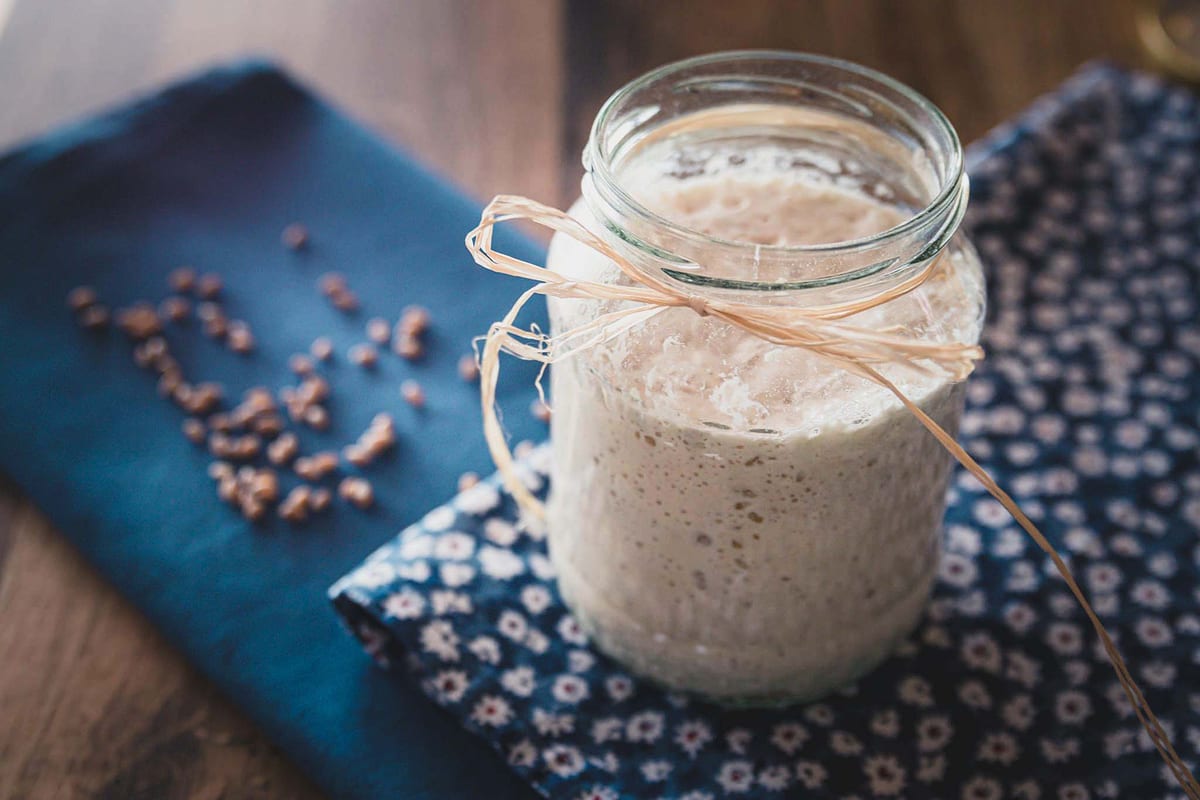 Treating SIBO With Probiotics